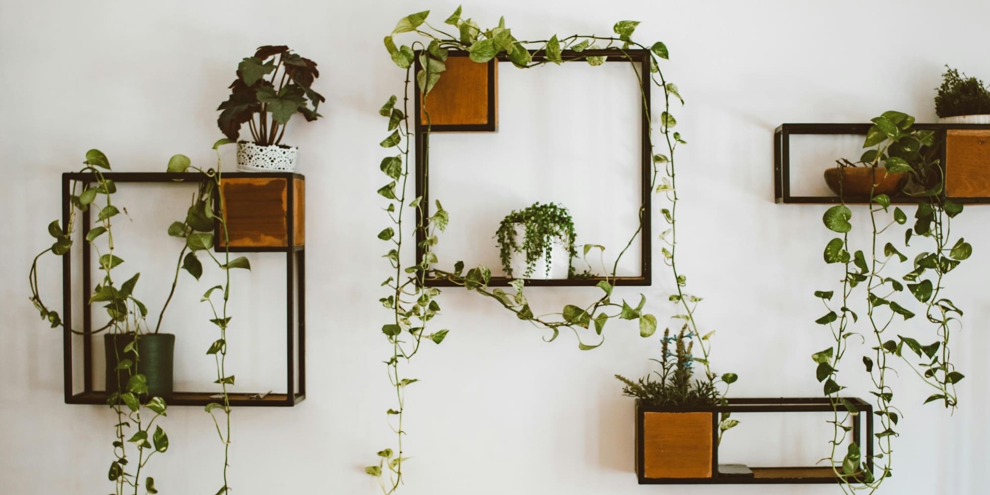 slider image slider_item_2